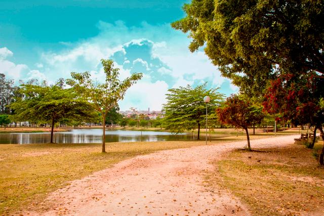 Interior de São Paulo tem festival de gastronomia com pratos especiais até esta terça-feira; confira!