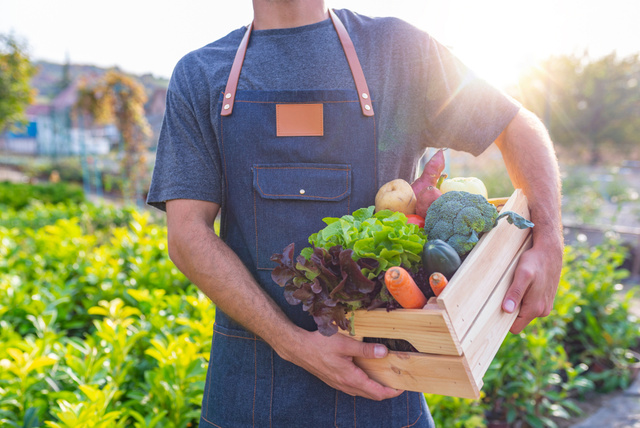 Tá muito caro! Quais são os alimentos orgânicos que realmente valem o investimento pelo bem da sua saúde?