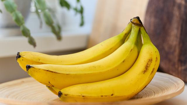 O que acontece com o corpo se você comer banana todos os dias? Efeitos no organismo são surpreendentes, mas é preciso cautela
