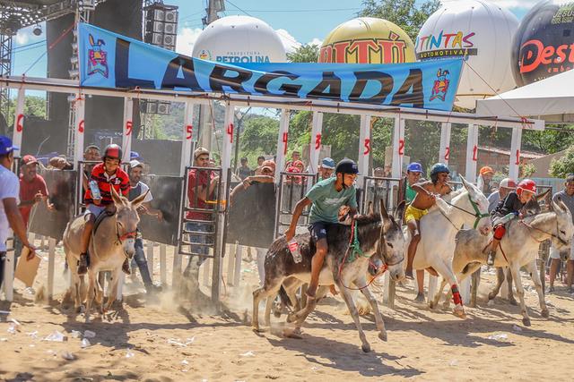 Jecana do Capim: Corrida de jegues é tradição em Petrolina há 50 anos. (Crédito: Deivid Menezes / Prefeitura de Petrolina)