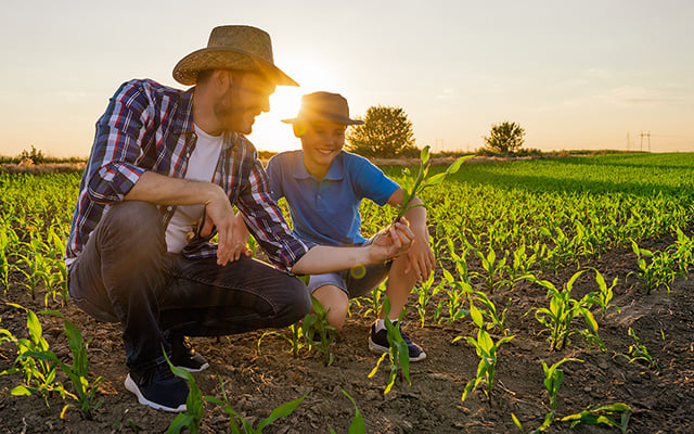 Por que estamos plantando de novo alimentos que nossos avós comiam e qual é o impacto disso na saúde
