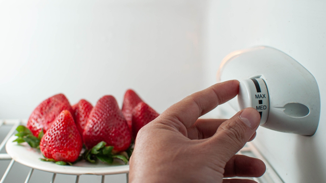 Os especialistas concordam quanto à temperatura do refrigerador: "Deve ser ajustada para 4 graus e o congelador para -18 graus."