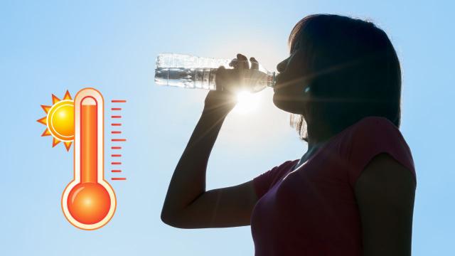 Tem um verão na primavera e esse é o segredo para manter a energia nos dias quentes