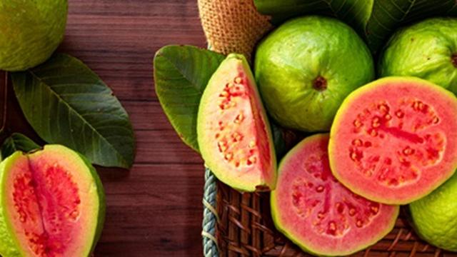 Benefícios da goiaba se comer com casca: é isso que acontece com o seu corpo de ingerir 1 fruta por dia