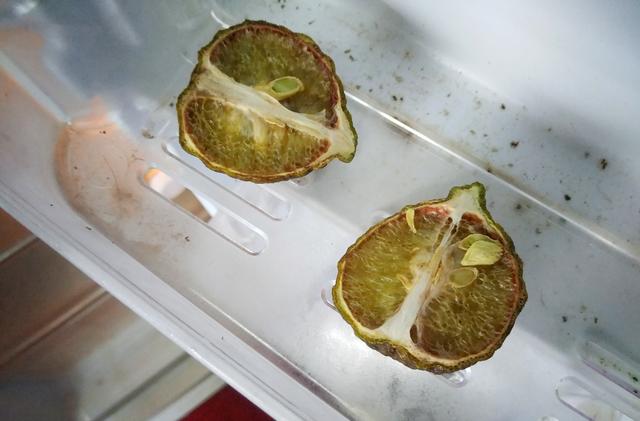 Poucos sabem o jeito certo de guardar a metade do limão na geladeira: faça assim e deixe a fruta suculenta