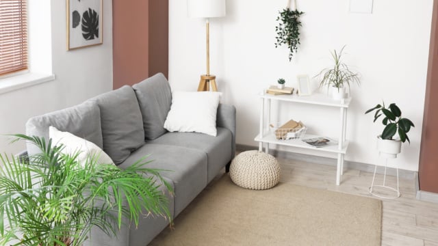 Cupom exclusivo de 6.6: itens da Shopee que vão melhorar o ambiente da sala de estar