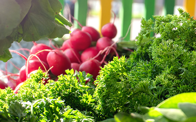 Nem alface, nem couve: essa é a hortaliça esquecida na feira que tem ação antioxidante e anti-inflamatória