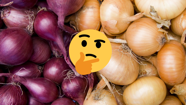 Cebola branca ou cebola roxa: qual é a mais saudável? Nutricionista responde