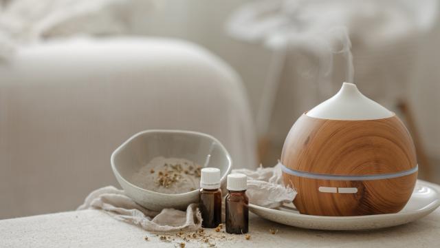 Adeus casa cheirosa: por que a ciência não aprova velas perfumadas e ambientadores em casa?