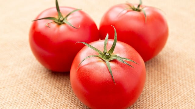 Um bom tomate não precisa ter aparência perfeita e deve estar levemente macio ao toque (Créditos: Shutterstock)