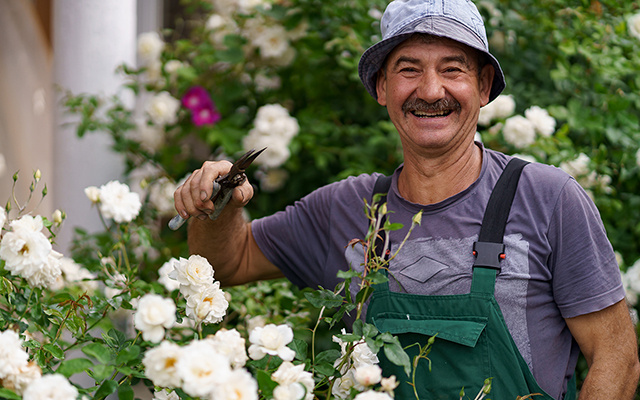 O segredo para um gramado livre de ervas daninhas: a estratégia adotada por jardineiros profissionais
