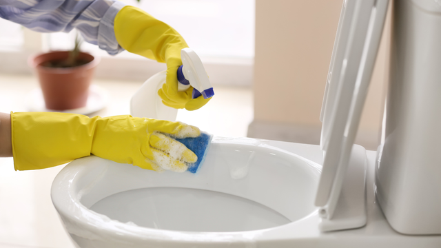 Nada de produto químico: receitinha caseira para limpar o vaso sanitário com ingredientes simples é a solução não tóxica para o seu banheiro