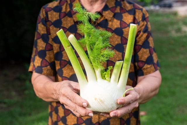 Ouro vegetal: a verdura que ajuda a reduzir o inchaço e combater a retenção de líquidos naturalmente