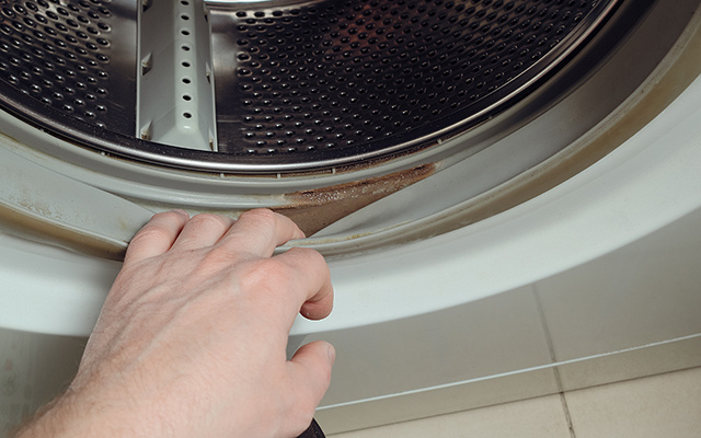Como eliminar o mofo da borracha da máquina de lavar com um truque caseiro