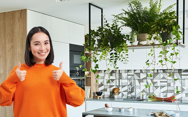 7 plantas de interior que quase ninguém lembra e renovam a energia da cozinha: são elegantes e decorativas