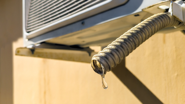 Muitos desperdiçam a água do ar condicionado, mas aqui está por que você deveria reutilizá-la
