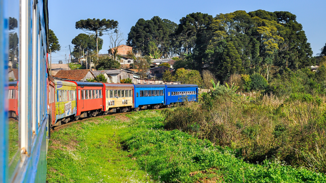 Um dos maiores símbolos da cidade é o passeio de trem pela Serra do Mar, considerado um dos trajetos ferroviários mais bonitos do Brasil. (créditos: Shutterstock)