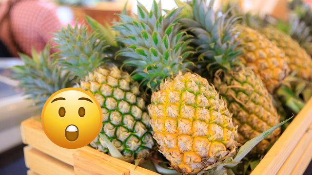Sua vida foi uma mentira: o abacaxi é formado por até 200 frutas e isso explica o sabor azedo