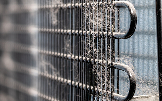 Nem água, nem pano úmido: como limpar as grades da geladeira sem prejudicar o eletrodoméstico