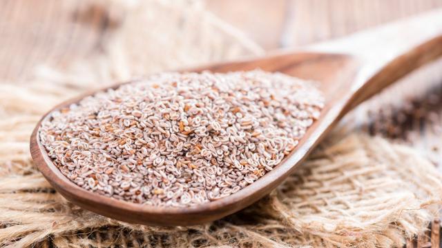 Queridinho da galera fit, psyllium emagrece de verdade ou é mito? Descubra se vale a pena acrescentá-lo a alimentação e quais são as contraindicações
