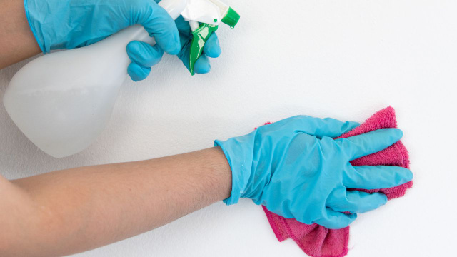 Nem detergente, nem tinta: é assim que tira manchas da parede com um item que você tem em casa