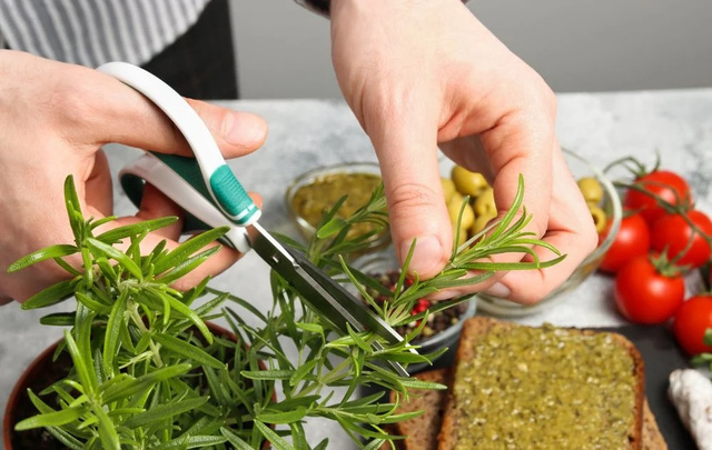 Consumido em receitas ou no chá: alecrim é tiro e queda para desconforto respiratório do inverno