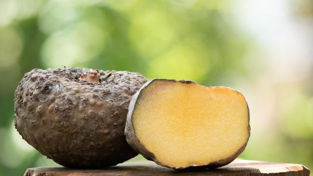 Glucomanano funciona mesmo? Suplemento ganhou fama de “ozempic natural”, mas é preciso consumir do jeito certo para não ter problemas