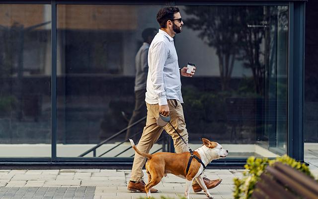 Um hábito simples com benefícios significativos para a saúde: pode fazer que dá certo