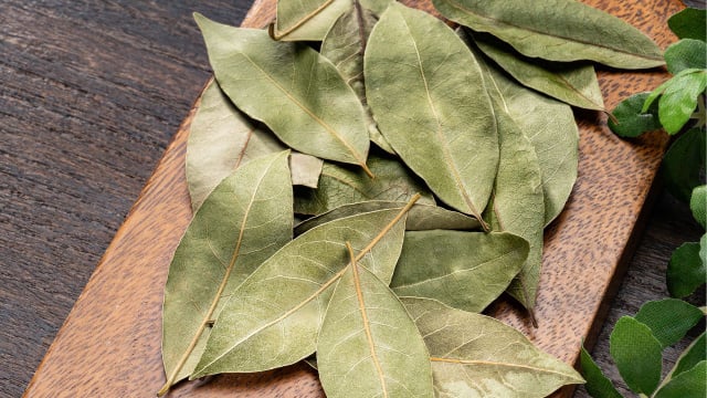 O louro possui compostos naturais que ajudam a perfumar o ambiente, dando uma sensação de limpeza e frescos (Créditos: Shutterstock)