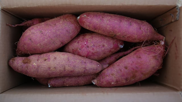 Guardar as batatas em recipiente ventilado prolonga a vida útil do tubérculo por semanas. (Foto: Shutterstock)