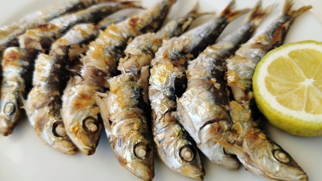 A culinária da região é rica em frutos do mar (Créditos: Magnific)