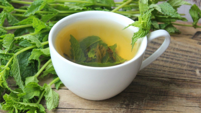 Xícara com chá de hortelã e gengibre super refrescante com folhas de hortelã dentro (Créditos: TudoGostoso)