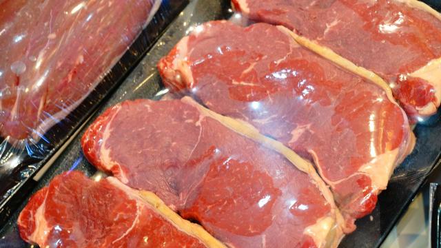 Não sabe se a comida está estragada? Cientistas brasileiros inventam tecnologia que resolve o problema de forma prática!