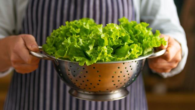 Adeus alface murcha: essa é a melhor maneira de manter as folhas firmes e frescas