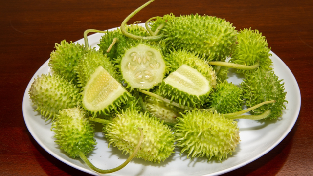 Vegetal esquecido pelos brasileiros ajuda no tratamento de 3 doenças