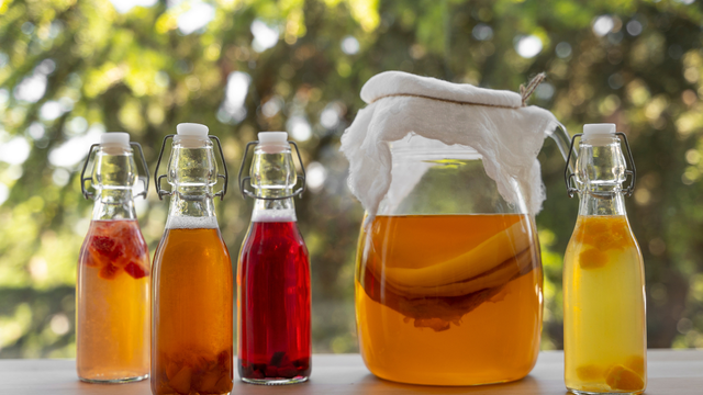 A kombucha pode ser uma boa alternativa para variar o consumo de alimentos e bebidas fermentadas. (crédito: Shutterstock)