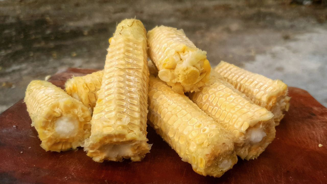 Não jogue fora o sabugo de milho, ele é um tesouro: como reciclar e usar no jardim