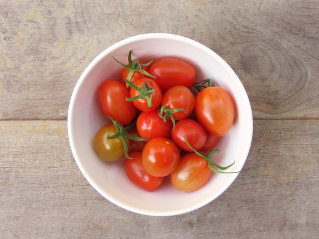 A maioria faz errado: como cultivar tomate-cereja em casa de um jeito fácil com esses truques de sucesso