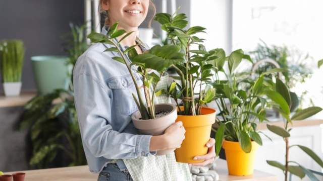 Com quantos anos você descobriu que ter essas plantas em casa vão melhorar o seu humor e diminuir sua ansiedade?