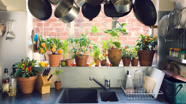 6 itens de decoração que muitos colocam na cozinha mas não deveriam