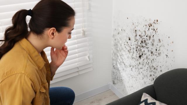 Mofo na parede? Esse simples erro pode estar causando o problema sem você perceber e não estamos falando de infiltração