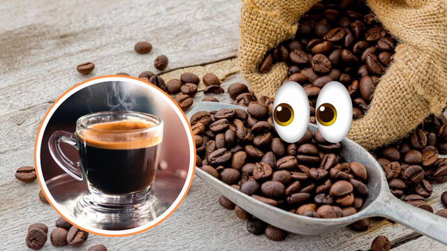 É o fim do café arábica? O que dizem estudos internacionais e quando a crise pode chegar à sua xícara