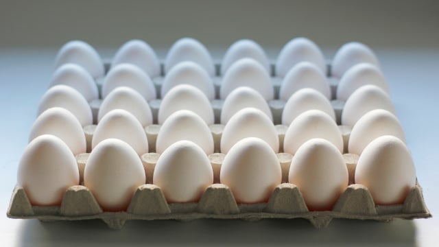 Ovos na geladeira ou na bancada da cozinha? TudoGostoso explica qual é a melhor maneira de armazenar o alimento