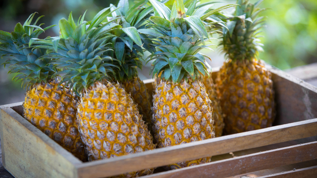 O abacaxi favorece a digestão e ajuda a reduzir a sensação de inchaço após o jantar. (créditos: Shutterstock)