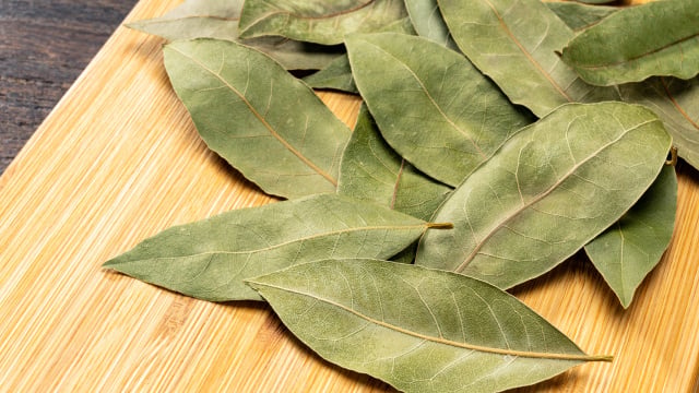 Usar as folhas de louro é uma maneira simples de afastar as baratas da sua cozinha (Créditos: Shutterstock)