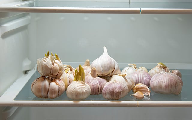 Como armazenar alho fresco por mais de um mês, preservando seu valor nutricional e tornando-o prático na cozinha