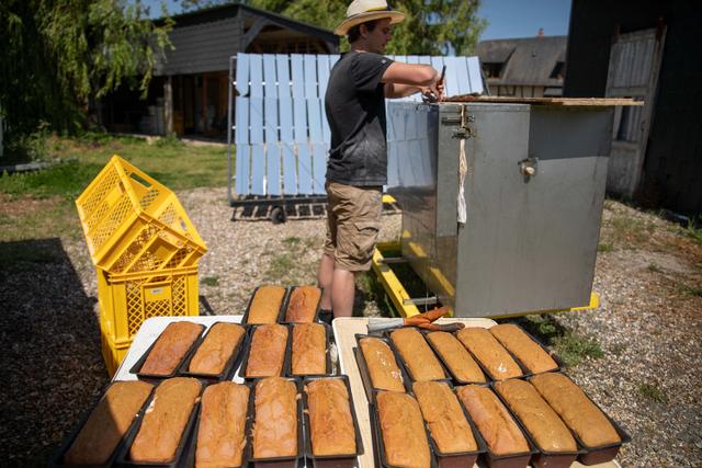 O NeoLoco é uma padaria francesa que usa um grande forno solar para assar pães e bolos e torrar café (Créditos: Divulgação NeoLoco)