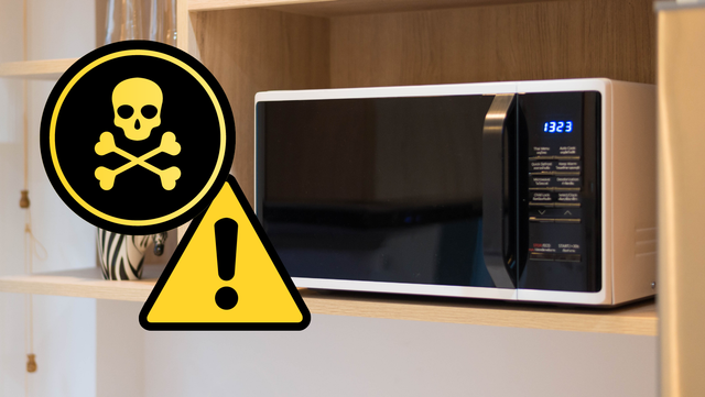 Esse materiais são proibidos no micro-ondas: não arrisque a vida da sua família e tenha uma cozinha segura