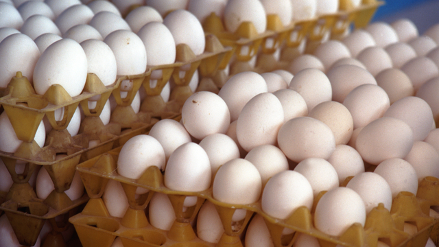 Sempre compre ovos menores: uma vendedora me contou um segredo que ninguém sabe e que salvou minha saúde e meu dinheiro