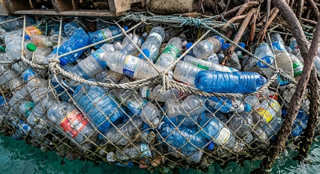 Artista cria ilha flutuante feita com mais de 150 mil garrafas plásticas em um dos projetos sustentáveis mais curiosos, deixando o mundo todo surpreso